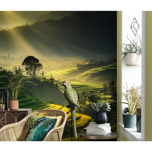 Photo Wallpaper Rice Field House Asia Green 2530N-81