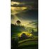 Photo Wallpaper Rice Field House Asia Green 2530N-81 2