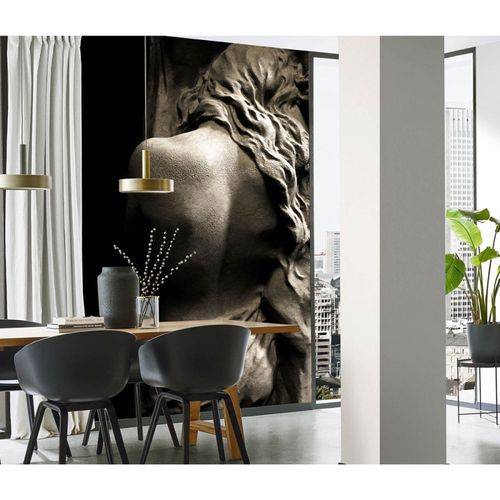 Photo Wallpaper Sculpture Antique grey Black 2532N-81