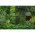 Photo Wallpaper Garden Floral Plants Green grey 2227-10 2
