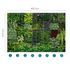 Photo Wallpaper Garden Floral Plants Green grey 2227-10 4
