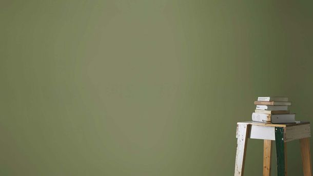 Non-woven wallpaper Rasch plain Green 687538