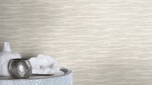 Non-woven wallpaper Rasch abstract light grey silver 720440