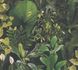 Non-woven wallpaper jungle motif tropics green 39698-1 2