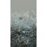 Wall mural Guido Maria Kretschmer meadow floral grey 2