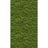 Photo wallpaper moss wall nature motif green 39839-1 2