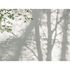 Photo wallpaper leaves tree shadow white green 39925-1 2