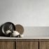 Non-woven wallpaper plain concrete look light grey 82469 1