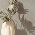 Non-woven wallpaper plain used look beige grey 35550 3