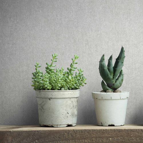 Non-woven wallpaper concrete look shabby grey 35137