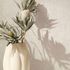 Non-woven wallpaper concrete look shabby cream beige 35139 3