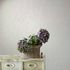 Non-woven wallpaper concrete look shabby grey beige 35140 1