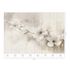 Guido Maria Kretschmer Photo Wallpaper Flowers Cream Grey 2