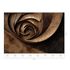 Guido Maria Kretschmer photo wallpaper graphic brown gold 2