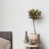Non-woven wallpaper textile look plain light grey 10463-31 5