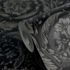 Versace Wallpaper Floral Black Anthracite 79135-2 4