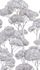 Photo wallpaper Trees Forest White Grey Black 79216-7 2
