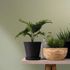 Non-woven Wallpaper plain Texture Modern Green 82520 2