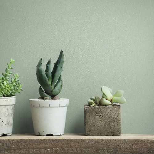 Non-woven Wallpaper plain Texture Modern Mint Green 82522