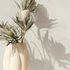 Non-woven Wallpaper Plain Plaster Look Cream Beige 82558 1