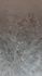 Photo Wallpaper Leaf Pattern Floral Brown Grey 22101-07-01 4