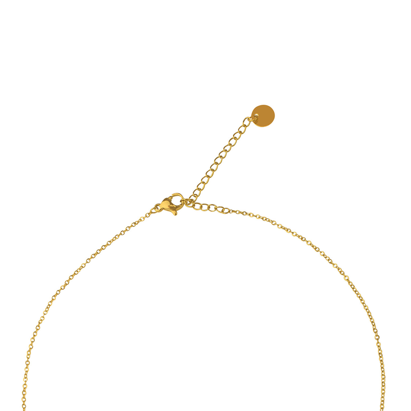 Halskette mit Medaillon Anhänger Modeschmuck aus Edelstahl Halskette mit Medaillon Anhänger Modeschmuck aus Edelstahl