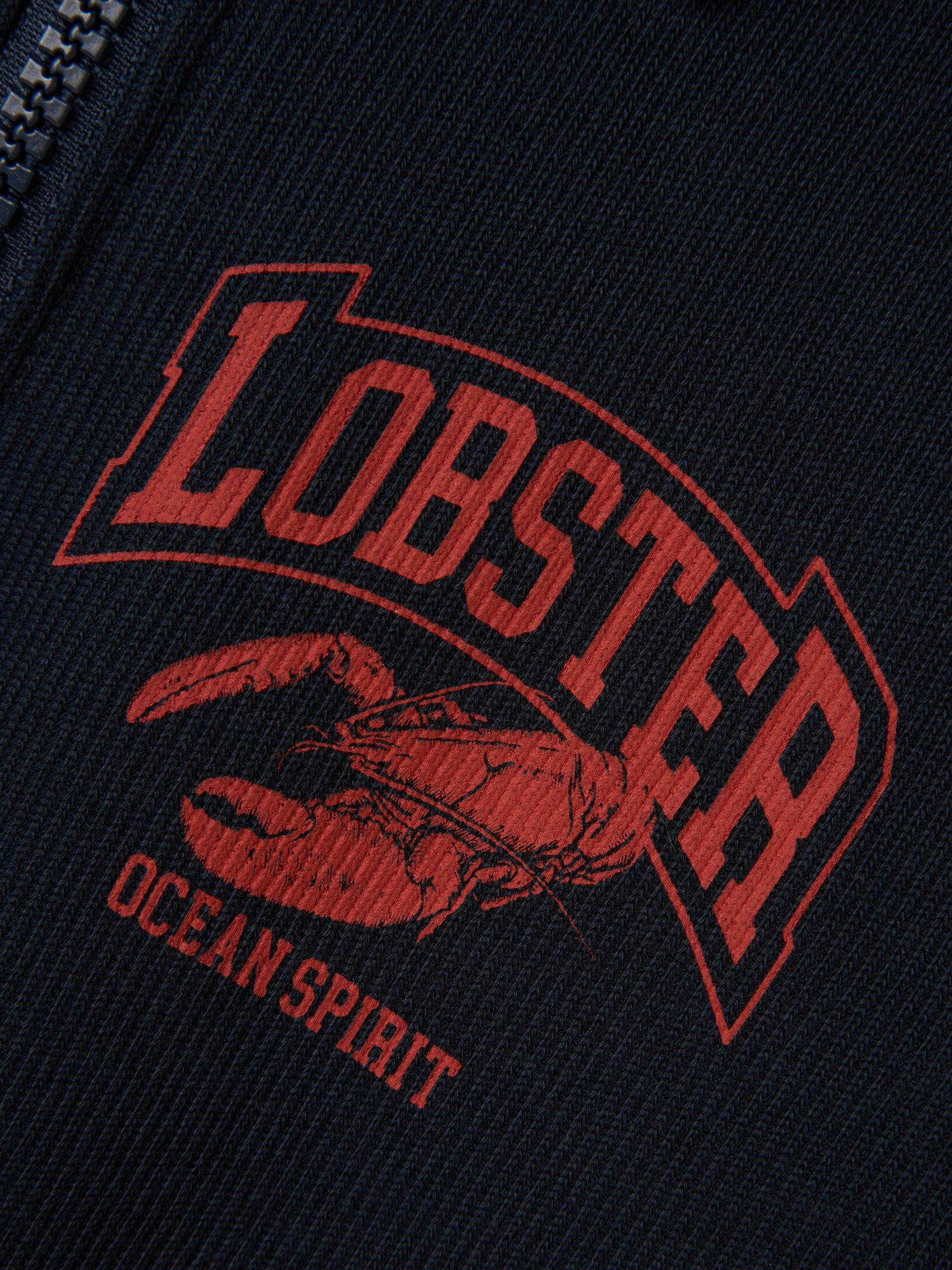 NAME-IT_Springsummer_4716371_13241268_4.jpg Jungen Troyer -Sweatshirt mit Reißverschluss und Lobster-Print