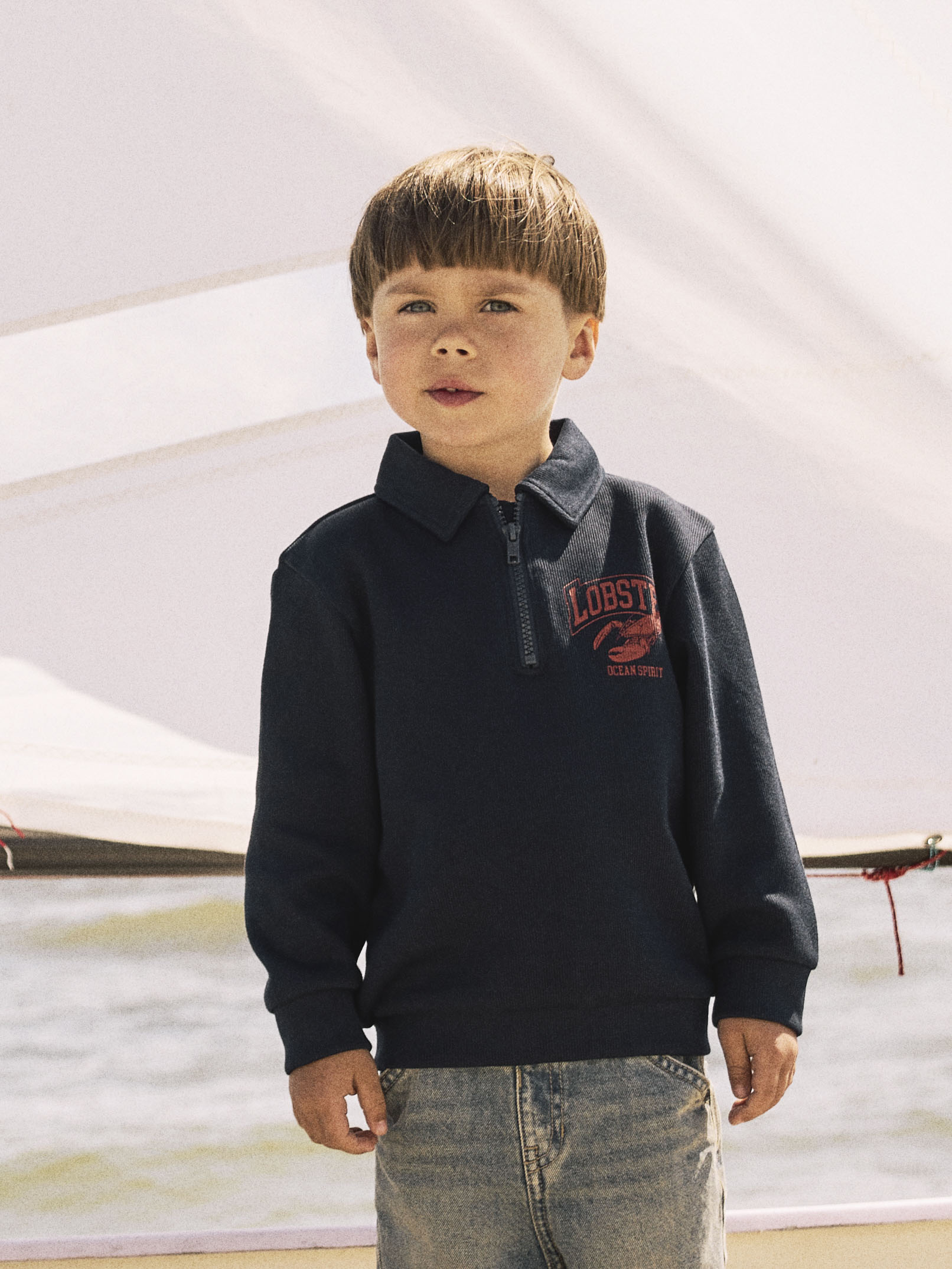 NAME-IT_Springsummer_4716371_13241268_5.jpg Jungen Troyer -Sweatshirt mit Reißverschluss und Lobster-Print