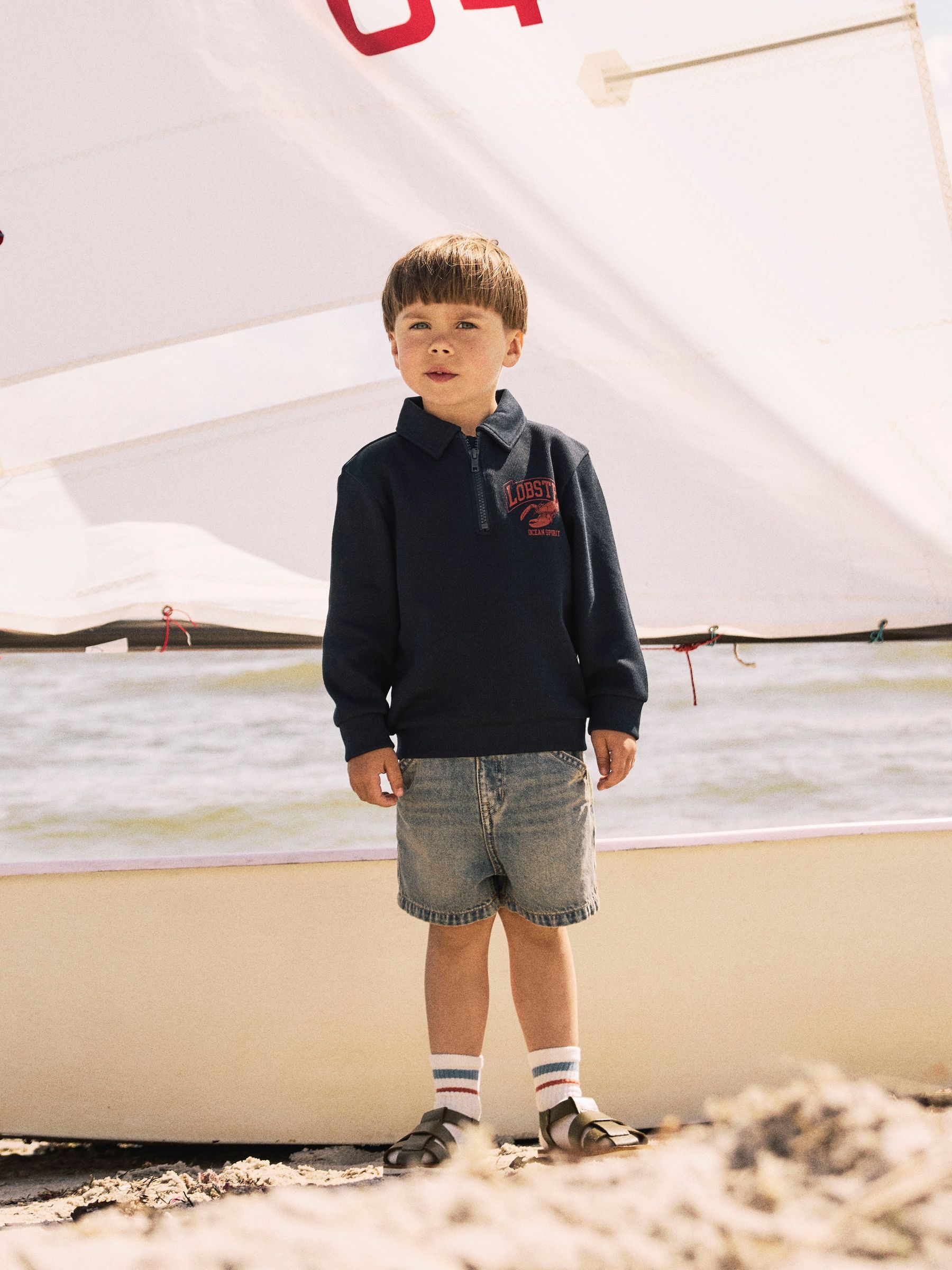 NAME-IT_Springsummer_4716371_13241268_6.jpg Jungen Troyer -Sweatshirt mit Reißverschluss und Lobster-Print