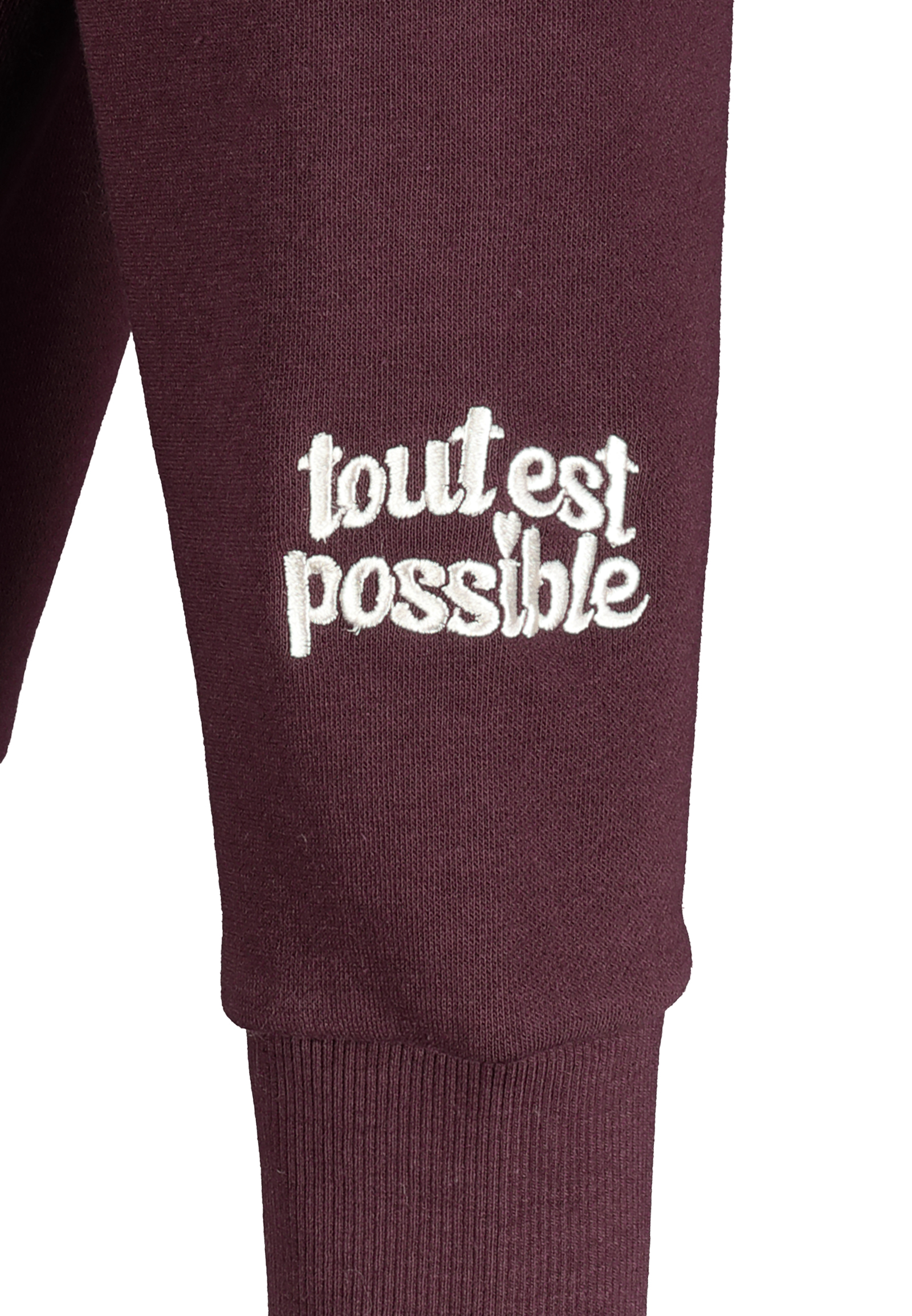 D10600BI02623D3_15400_D2.jpg Kapuzensweatshirt mit Aufdruck und Stickerei