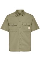 Olive-2