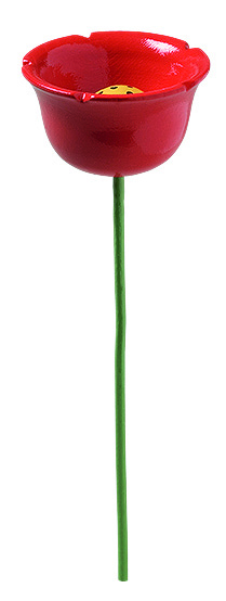 Mohnblume für Blumenkind 5248/8 von Wendt & Kühn Mohnblume für Blumenkind 5248/8 von Wendt & Kühn