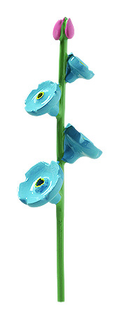Vergissmeinnicht für Blumenkind 5248/12 von Wendt & Kühn Vergissmeinnicht für Blumenkind 5248/12 von Wendt & Kühn