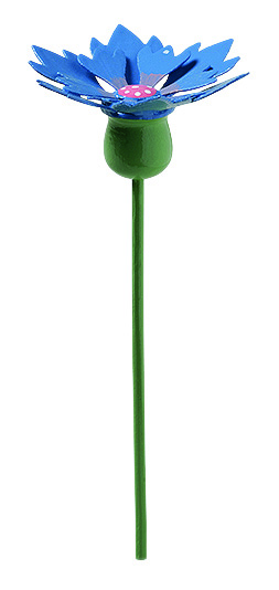 Kornblume für Blumenkind 5248/14 von Wendt & Kühn Kornblume für Blumenkind 5248/14 von Wendt & Kühn