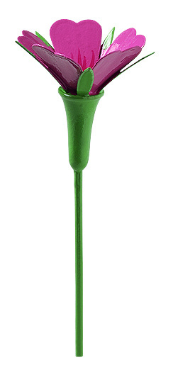 Kornrade für Blumenkind 5248/15 von Wendt & Kühn Kornrade für Blumenkind 5248/15 von Wendt & Kühn