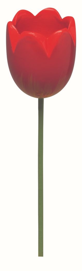Wendt und Kühn Tulpe für Blumenkind 5248/23 Wendt und Kühn Tulpe für Blumenkind 5248/23