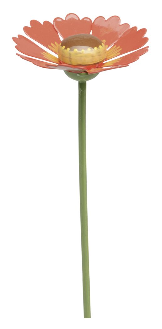 Sonnenbraut für Blumenkind 5248/29 von Wendt & Kühn Sonnenbraut für Blumenkind 5248/29 von Wendt & Kühn