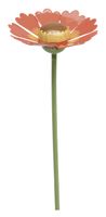 Sonnenbraut für Blumenkind 5248/29 von Wendt & Kühn Sonnenbraut für Blumenkind 5248/29 von Wendt & Kühn