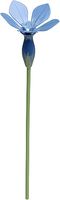 Frühlingsenzian für Blumenkind 5248/30 von Wendt & Kühn Frühlingsenzian für Blumenkind 5248/30 von Wendt & Kühn