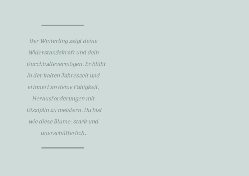 Sternzeichen-Kind Steinbock / Winterling (22. Dezember - 19. Januar) von Wendt und Kühn exklusiv in der Engelstube Sternzeichen-Kind Steinbock / Winterling (22. Dezember - 19. Januar) von Wendt und Kühn exklusiv in der Engelstube
