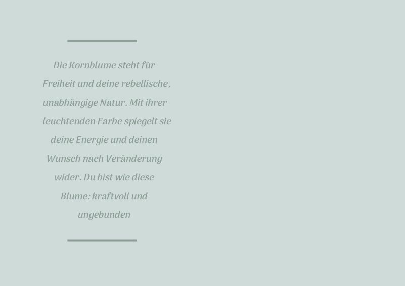 Sternzeichen-Kind Wassermann / Kornblume (20. Januar - 18. Februar) von Wendt und Kühn exklusiv in der Engelstube Sternzeichen-Kind Wassermann / Kornblume (20. Januar - 18. Februar) von Wendt und Kühn exklusiv in der Engelstube