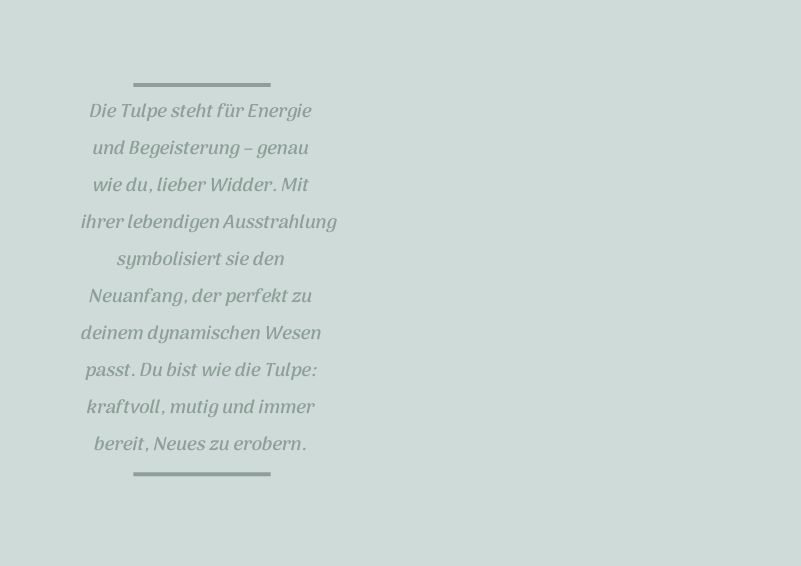 Sternzeichen-Kind Widder / Tulpe (21. März - 19. April) von Wendt und Kühn exklusiv in der Engelstube Sternzeichen-Kind Widder / Tulpe (21. März - 19. April) von Wendt und Kühn exklusiv in der Engelstube