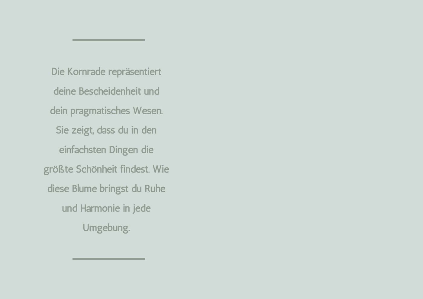 Sternzeichen-Kind Jungfrau / Kornrade (23. August – 22. September)) von Wendt und Kühn exklusiv in der Engelstube Sternzeichen-Kind Jungfrau / Kornrade (23. August – 22. September)) von Wendt und Kühn exklusiv in der Engelstube