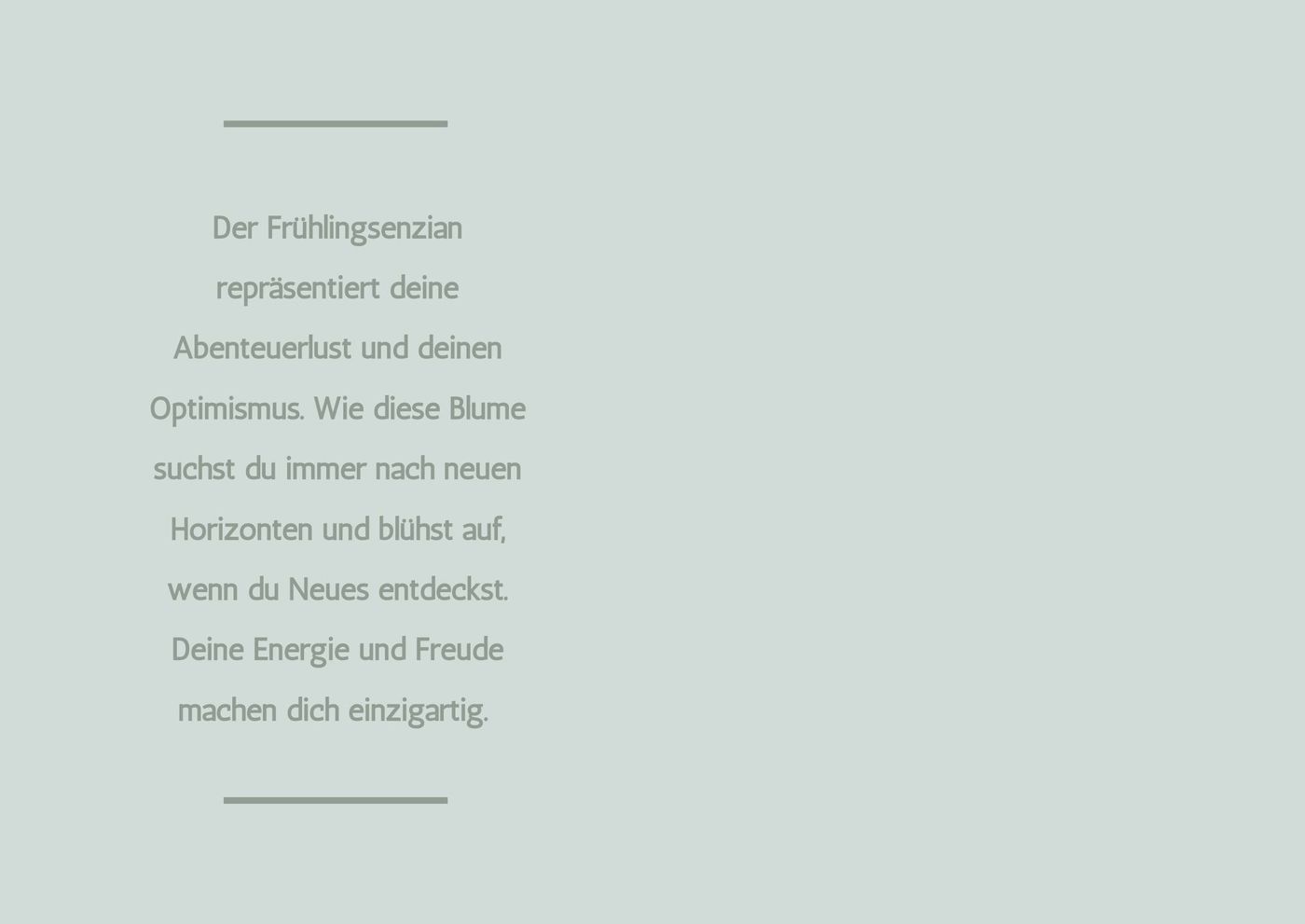 Sternzeichen-Kind Schütze – Frühlingsenzian (22. November – 21. Dezember) von Wendt und Kühn exklusiv in der Engelstube Sternzeichen-Kind Schütze – Frühlingsenzian (22. November – 21. Dezember) von Wendt und Kühn exklusiv in der Engelstube