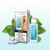 Flerbar-Pods-Ice-Mint-20mg-Nikotin-2er-Pack.jpg