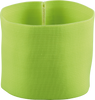 DS4087-500.png DS4087-500.png
