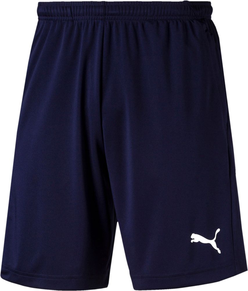 Puma Herren Fußballshorts Liga Training Shorts