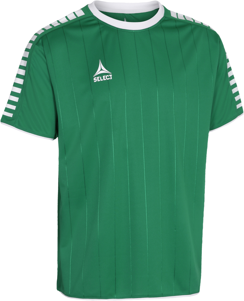 Select Argentina Trikot - grün/weiß