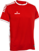 DS6041-310.png