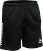 SE62009-111.png SE62009-111.png